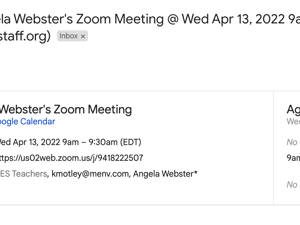 Turtle Email LiveStream